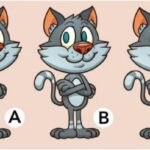 اختبار أي من القطط الثلاثة يختلف عن الآخرين في هذا اللغز البصري؟ لديك 7 ثوان فقط