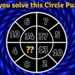 للطلاب فقط العقل اللامع يمكنه حله هل يمكنك حل لغز الدائرة هذا؟