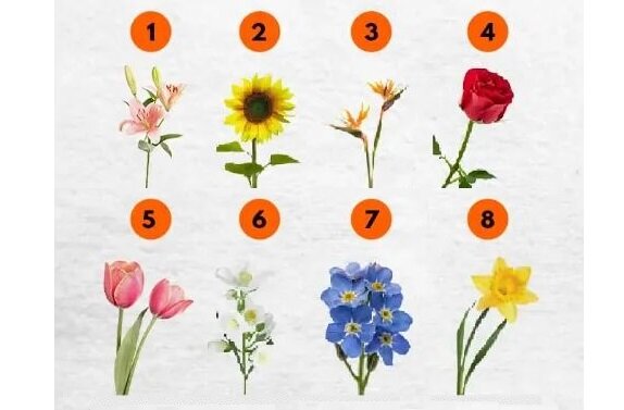 هل لديك زهرة مفضلة؟ إذًا يمكن أن يخبرك اختبار الزهور الممتع هذا بشيء عن الجانب الرومانسي في حياتك.