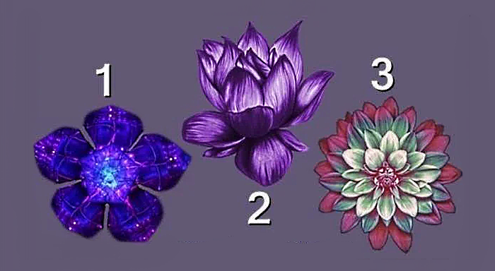 من المعروف أن الزهور تحمل سرًا معينًا ويمكن أن تقول الكثير عن الشخص. لقد أعددنا لك اليوم ثلاث زهور ستكشف لك عن قوتك الخاصة. عليك أن تختار زهرة واحدة.